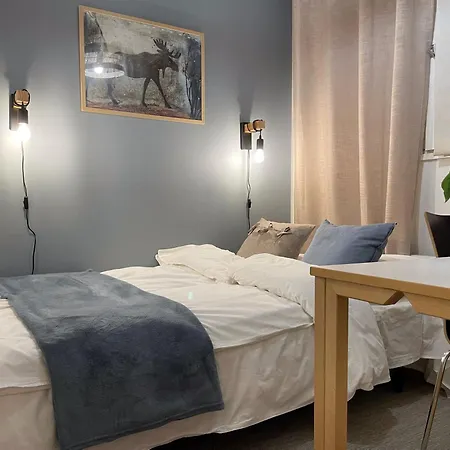 Winter 94 M2 5-room With Sauna * 罗瓦涅米